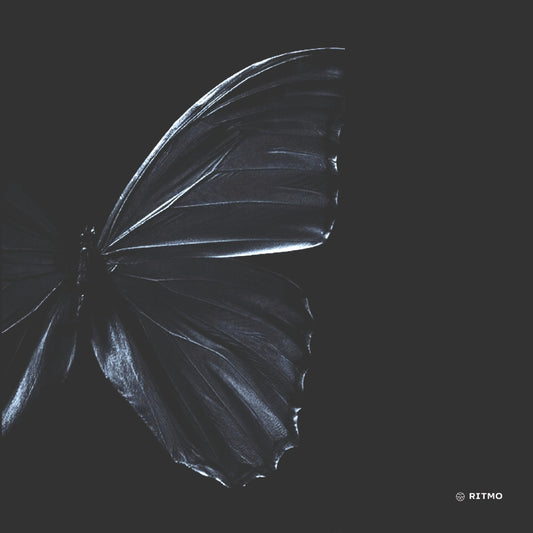 “The Butterfly” Silk Satin Bandanas